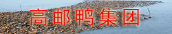 A̩˾ʯ