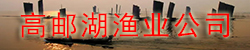 溫州華泰保潔公司家具清潔